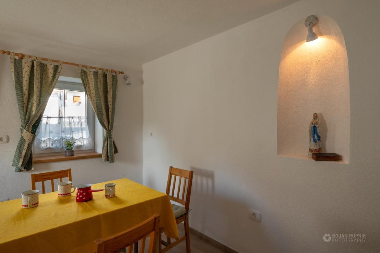 Cherry House - Cosy House - Ideal For Bear Watching, In The Neighborhood Of The Medieval Sneznik Castle Stari Trg pri Lozu Zewnętrze zdjęcie