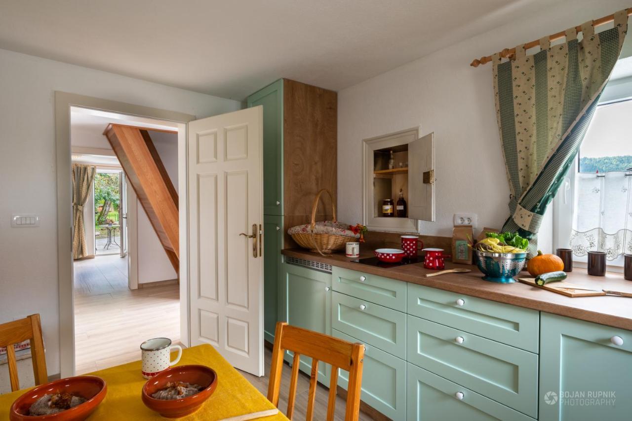 Cherry House - Cosy House - Ideal For Bear Watching, In The Neighborhood Of The Medieval Sneznik Castle Stari Trg pri Lozu Zewnętrze zdjęcie