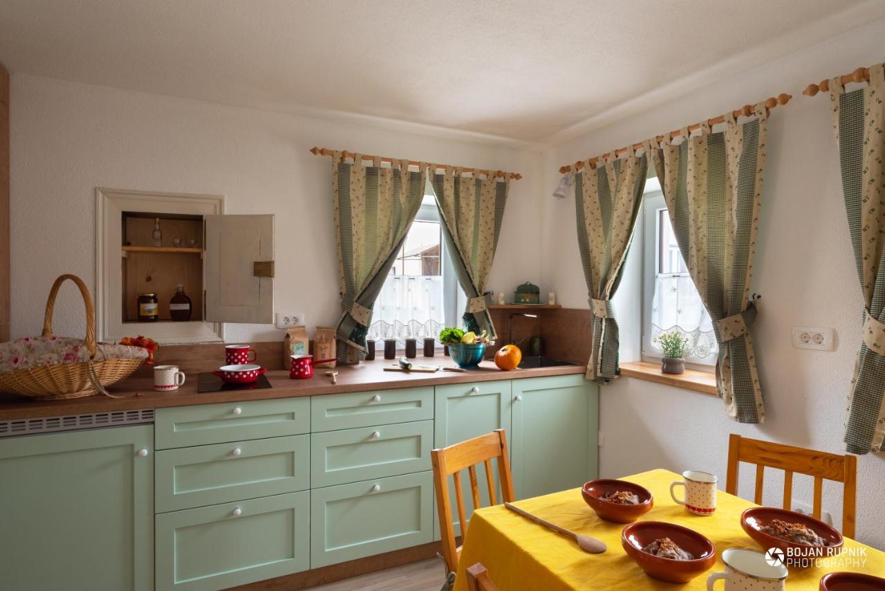 Cherry House - Cosy House - Ideal For Bear Watching, In The Neighborhood Of The Medieval Sneznik Castle Stari Trg pri Lozu Zewnętrze zdjęcie