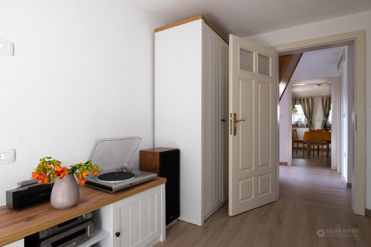 Cherry House - Cosy House - Ideal For Bear Watching, In The Neighborhood Of The Medieval Sneznik Castle Stari Trg pri Lozu Zewnętrze zdjęcie