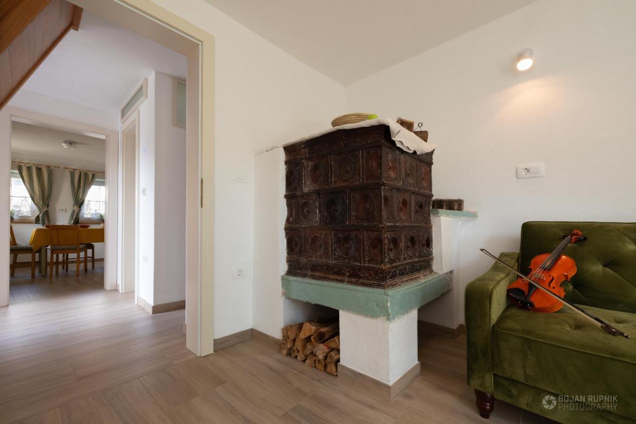 Cherry House - Cosy House - Ideal For Bear Watching, In The Neighborhood Of The Medieval Sneznik Castle Stari Trg pri Lozu Zewnętrze zdjęcie