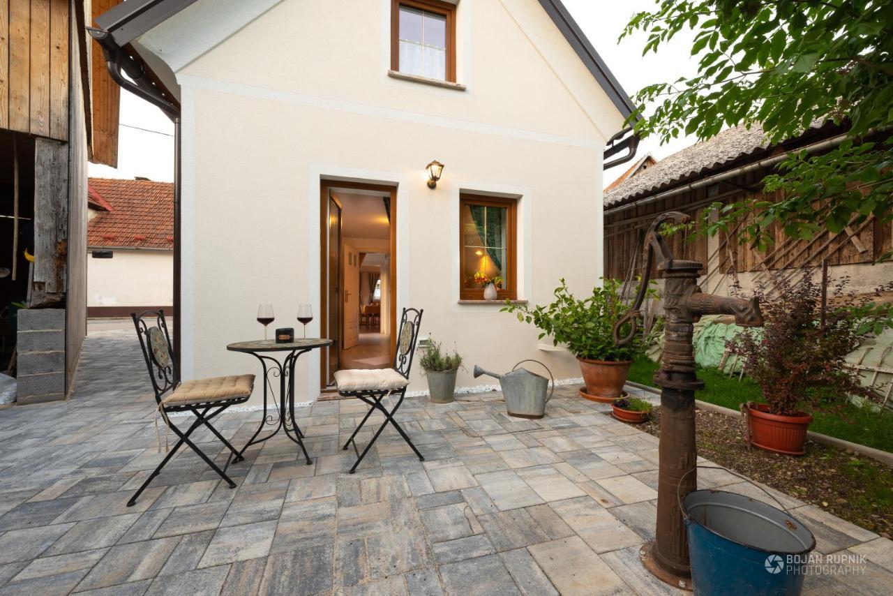 Cherry House - Cosy House - Ideal For Bear Watching, In The Neighborhood Of The Medieval Sneznik Castle Stari Trg pri Lozu Zewnętrze zdjęcie