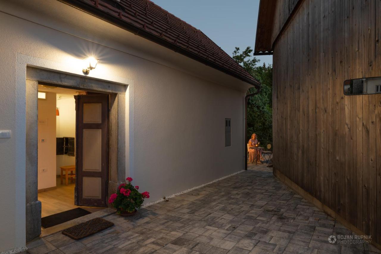 Cherry House - Cosy House - Ideal For Bear Watching, In The Neighborhood Of The Medieval Sneznik Castle Stari Trg pri Lozu Zewnętrze zdjęcie
