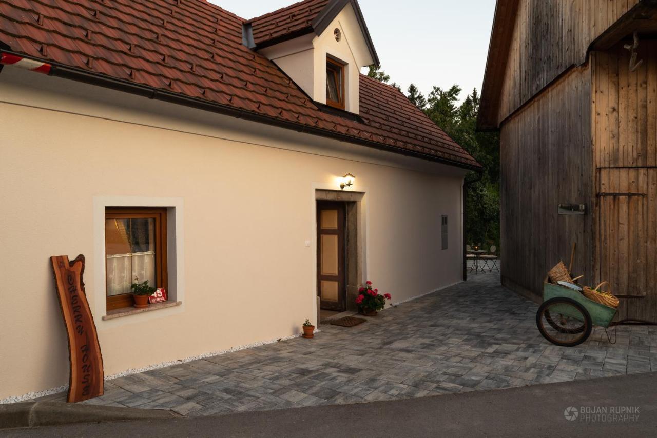 Cherry House - Cosy House - Ideal For Bear Watching, In The Neighborhood Of The Medieval Sneznik Castle Stari Trg pri Lozu Zewnętrze zdjęcie