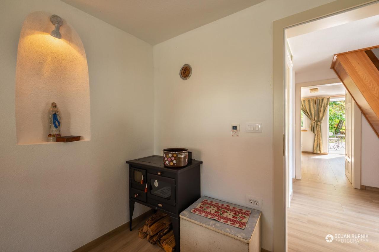 Cherry House - Cosy House - Ideal For Bear Watching, In The Neighborhood Of The Medieval Sneznik Castle Stari Trg pri Lozu Zewnętrze zdjęcie