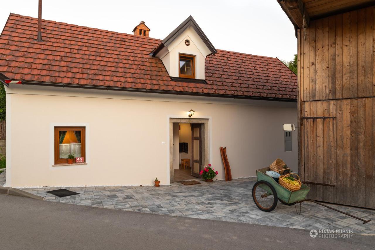 Cherry House - Cosy House - Ideal For Bear Watching, In The Neighborhood Of The Medieval Sneznik Castle Stari Trg pri Lozu Zewnętrze zdjęcie