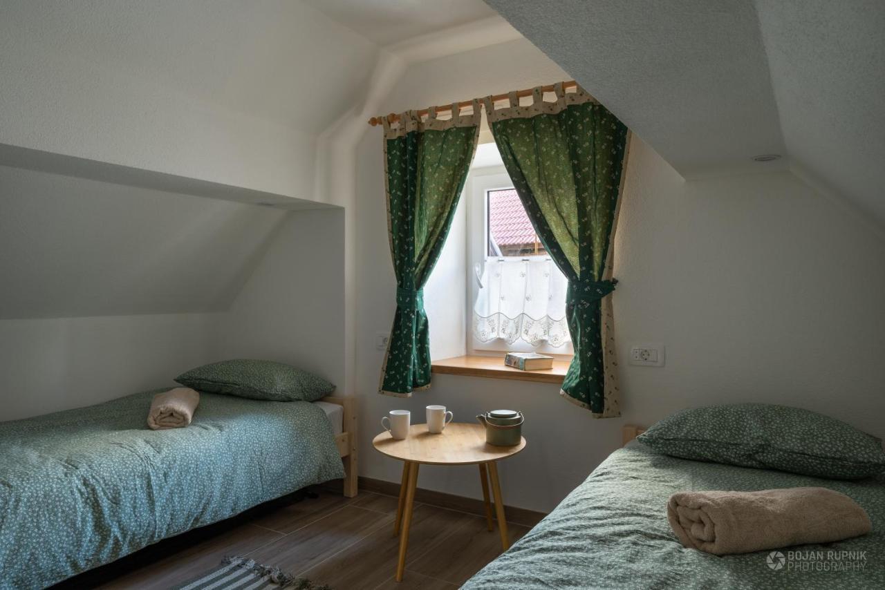 Cherry House - Cosy House - Ideal For Bear Watching, In The Neighborhood Of The Medieval Sneznik Castle Stari Trg pri Lozu Zewnętrze zdjęcie