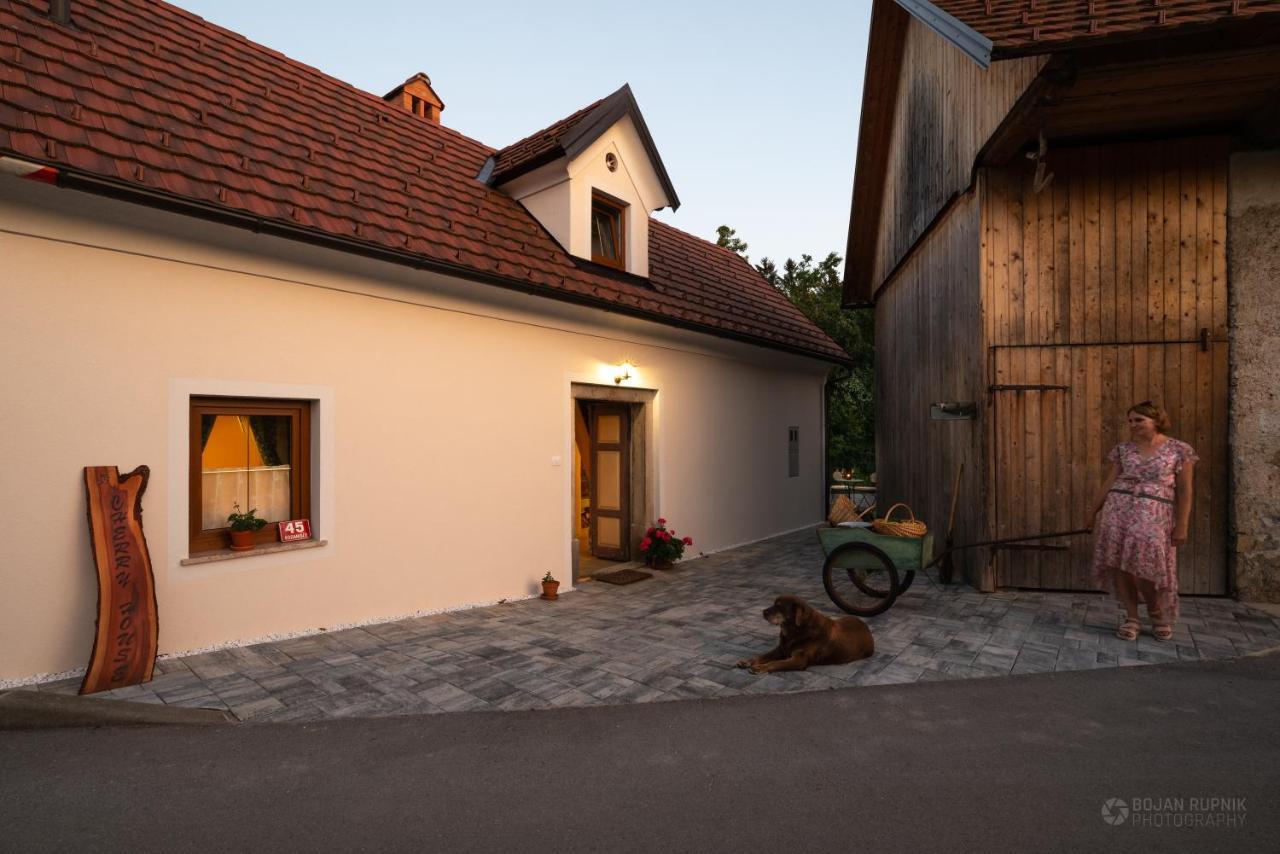 Cherry House - Cosy House - Ideal For Bear Watching, In The Neighborhood Of The Medieval Sneznik Castle Stari Trg pri Lozu Zewnętrze zdjęcie