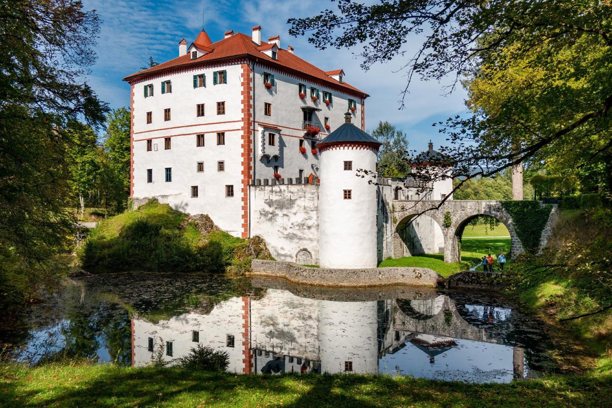 Cherry House - Cosy House - Ideal For Bear Watching, In The Neighborhood Of The Medieval Sneznik Castle Stari Trg pri Lozu Zewnętrze zdjęcie